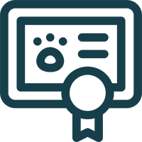 Express service icon